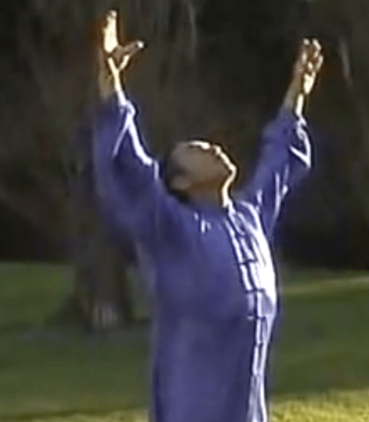 Wu Xing Qi Gong : Le Qi Gong des Cinq Éléments