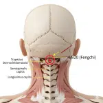 Les migraines et maux de tête liés à la circulation d'énergie